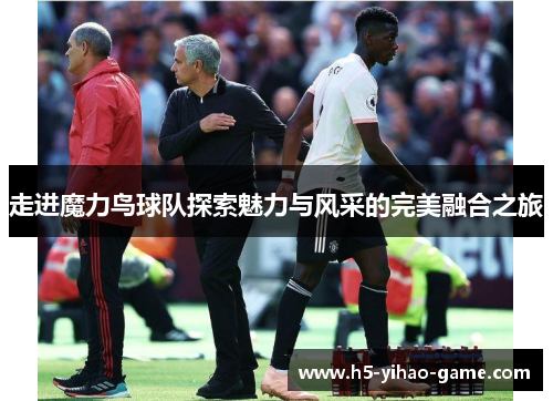 走进魔力鸟球队探索魅力与风采的完美融合之旅