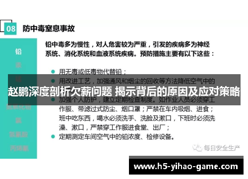 赵鹏深度剖析欠薪问题 揭示背后的原因及应对策略